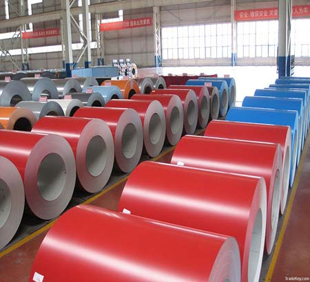 Color Coated Coils